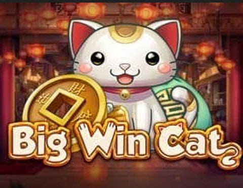 slot gratis big win cat